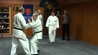 Сил-лим-тао. Санчин-ката. Хейан-Шодан. Бункай. Часть 4
