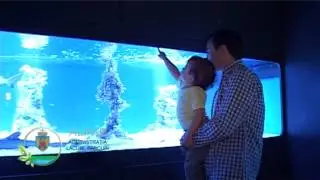 Aqua Expo