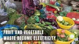 Fruit and vegetable waste become electricity