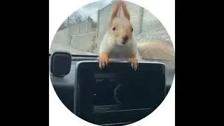 Прыжок в капюшон 😎# funny