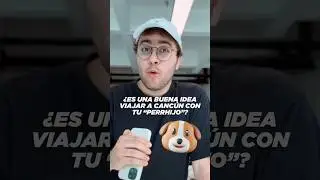 ¿Deberías viajar a CANCÚN con tus perr-hijos? 🐶