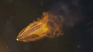 How a bullet launch from a gun!