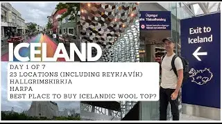 DAY 1 Must-Sees in Iceland: Geothermal Pools, Black Sand, Northern Lights