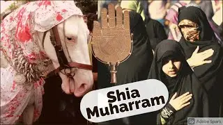 Muharram- what do Shias do?