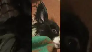 Красавчик 😘