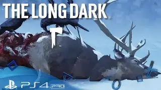 The Long Dark PS4 🌕 Der Lange weg sollte es heißen!
