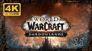 WOW SHADOWLANDS 4K UHD Gameplay Walkthrough PRE-PATCH LEVELING 1-50 | EPISODE 11 Priest Level 46-50