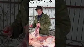 Lymph nodes in a ram