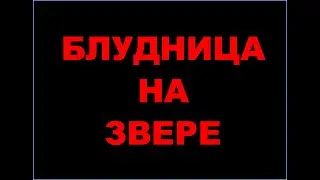 Блудница на звере - фильм про то как уловляют жизни людей.
