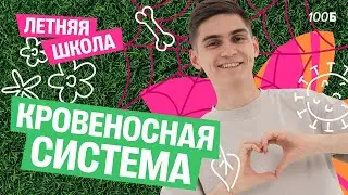ЛЕТНЯЯ ШКОЛА ПО БИОЛОГИИ. Урок №2. Кровеносная система | Марк Ламарк | 100балльный репетитор
