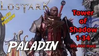 Lost Ark PALADIN 