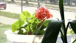 В Охе выбрали один из лучших подъездов