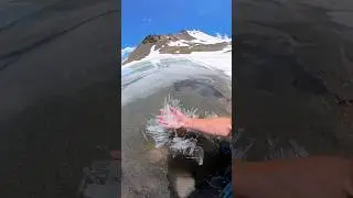 craziest ice ever! #Colorado #hiking