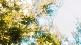 tru to one's nature (short film)