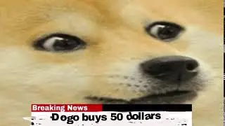 Braking News