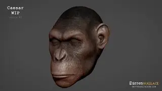 Caesar wip