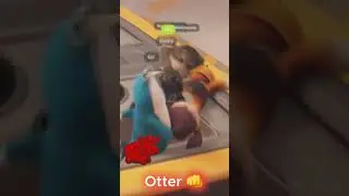 Warrior Otter defeats all!