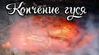 How to smoke a goose? Smoking geese is quick and delicious!