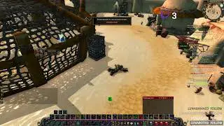 wow calssic stream котик котик мяу мяу мяу