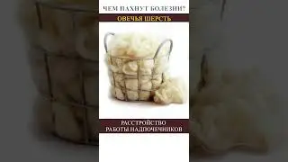 🤢🤢🤢 Чем пахнут болезни