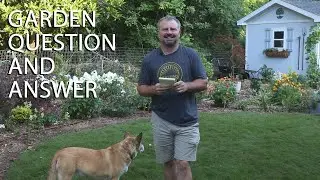 Garden Question and Answer - Great Summer Gardening Questions