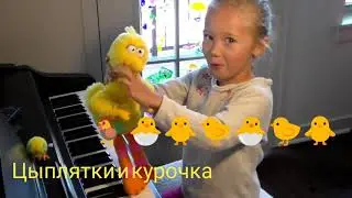 Цыплятки 🐣🐣🐣 (А. Филиппенко)