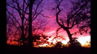 She's Painting the sky (Stefania's Song)