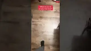 #fur