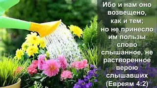 Проповедь. Ибо и нам оно возвещено, как и тем....(Евреям 4:2)  Служение церквей ЕврАзии 17.10.2024