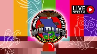 MUTINY!! | Wednesday Night LIVE at Wildlife Command Center