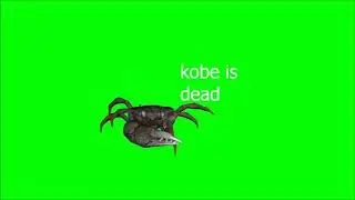 kobe  dead