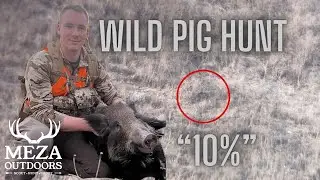 10 DAYS of Hunting Wild Pigs | 10% SUCCESS!