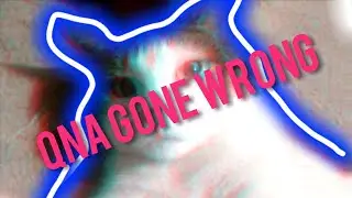QNA GONE WRONG! ft. My Pussy