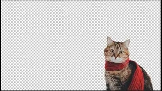Photopea Removing  Background of Photo: Magic Cut tool