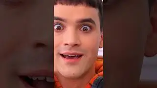 Я открыл отель для животных!🐶🐢🐰 