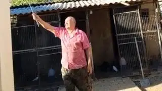 Николаевские голуби Крым в гостях у Вовы Керченского.
