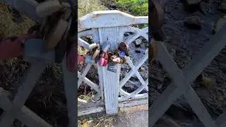 Вот такая любовь #shorts Карелия замки