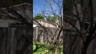 Allen ATI cheesiness 4/1/20