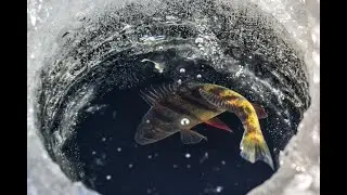 WINTER FISHING BELOYARKA PUMPING