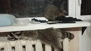 греемся