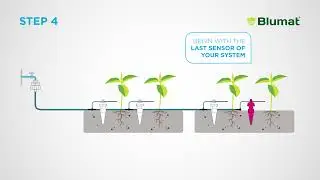 Blumat Tropf Installation Guide - Automatic Garden Drip Irrigation