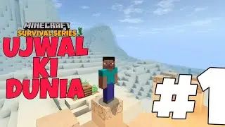 First Series of Minecraft with 