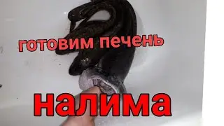 Вкусная печень налима в домашних условиях