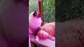 Любимое место летом