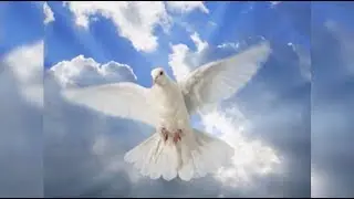 ALDO PEÑA - ENTRA EN MÍ...ESPÍRITU SANTO DE DIOS