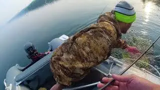 Рыбалка в Ершово на Зёдах