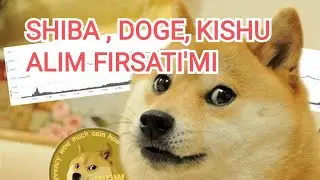 #SHIBA #İNU #VE #DOGE #ALIM #FIRSATIMI ? #KRİPTO7