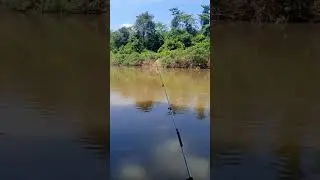 Nuansa alam liar lebih adem di denga