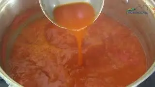 Molho de Pimenta Picante
