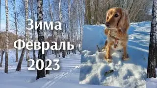 Зима. Февраль.                    17. 02. 2023